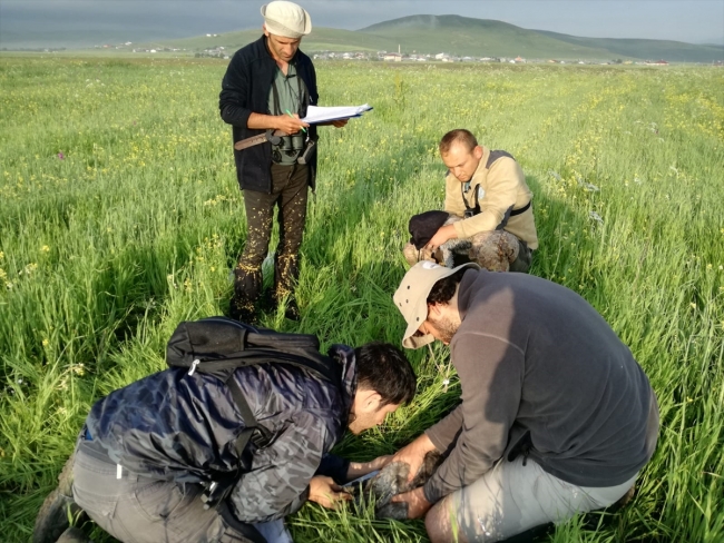 Doğadaki 100 tür için koruma eylem planı